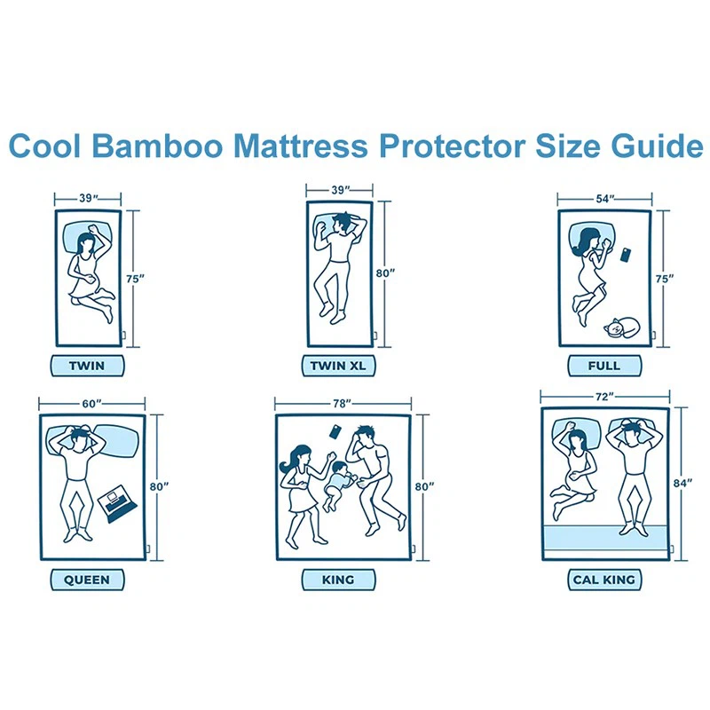 product-800-800
